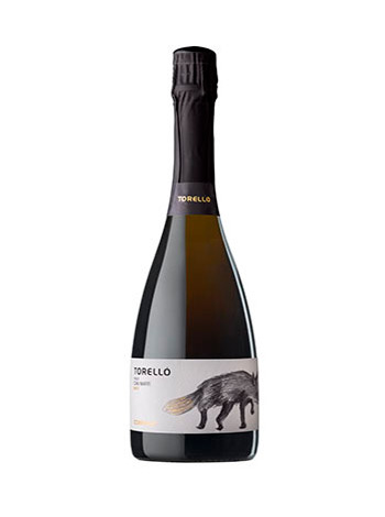 Ampolla de vi escumós Torelló Finca Can Martí Brut 2014 vista frontal 