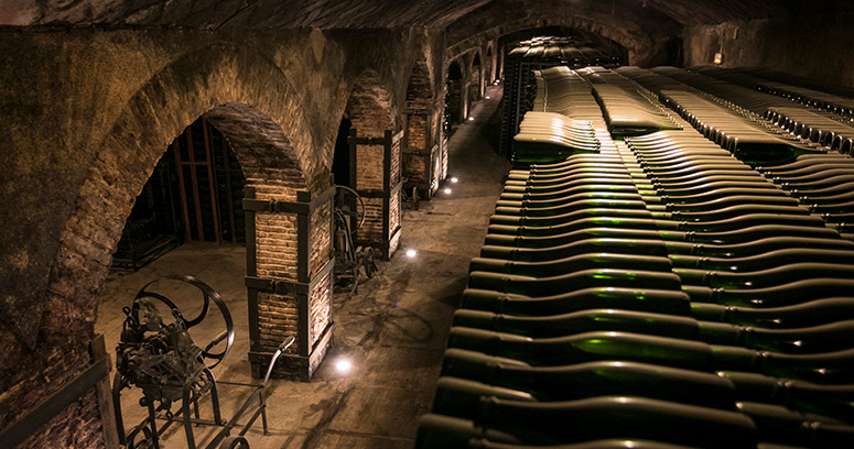 Imatge on es poden veure les caves subterrànies que ocupen mes de 5.500m2