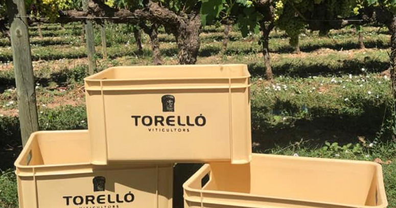 25kg orange boxes to transport the grapes