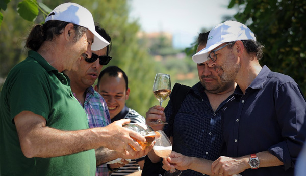 Grupo de 5 hombres haciendo una cata de vinos y espumosos entre viñas