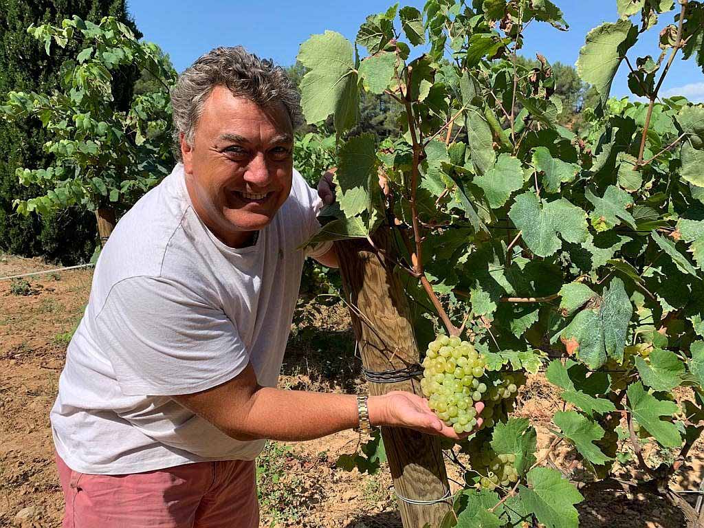 Paco de la Rosa and a vine with grape before harvest