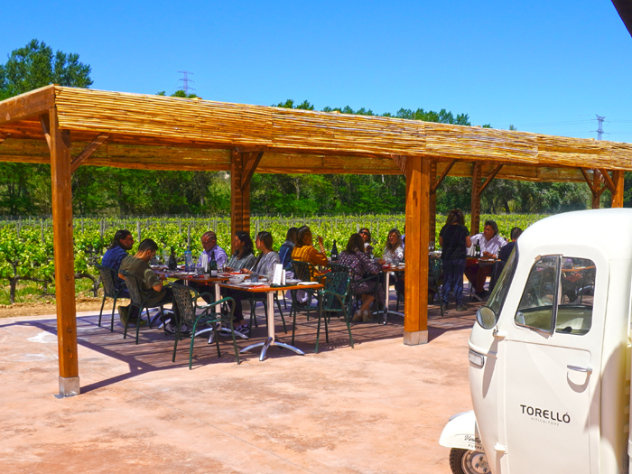 The new Torelló's barbecue terrace 