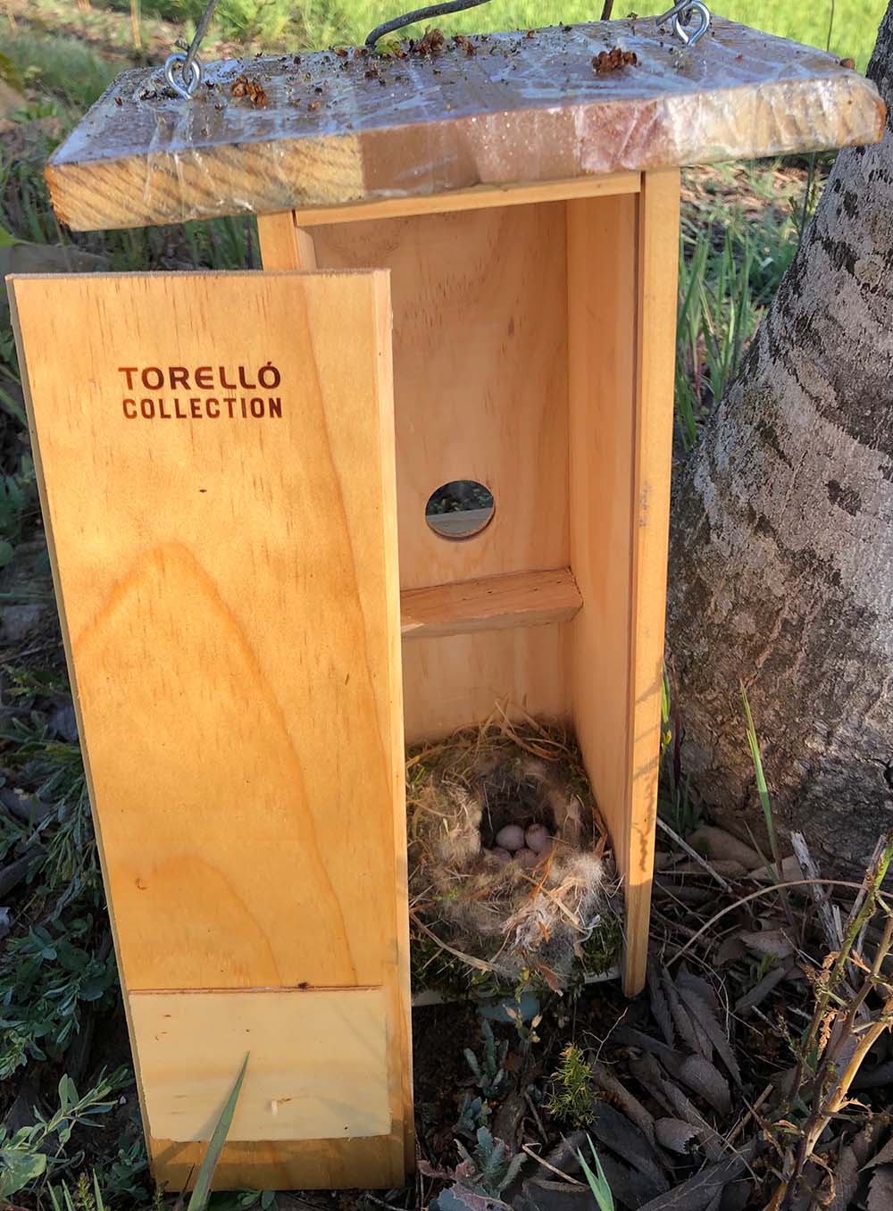 Una caja de madera de Torelló Collection convertida en un nido de pajaros