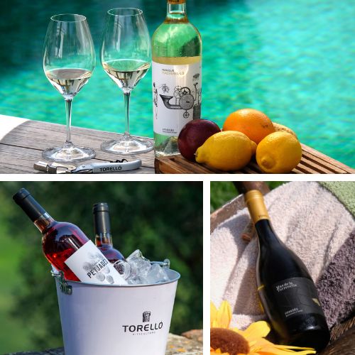 vins per lestiu 1