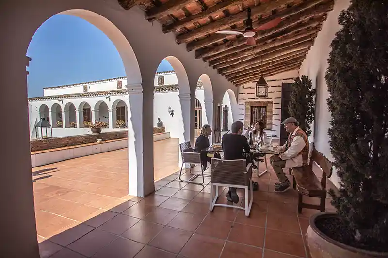 Sustainable wine tourism experiences at the Can Martí Estate