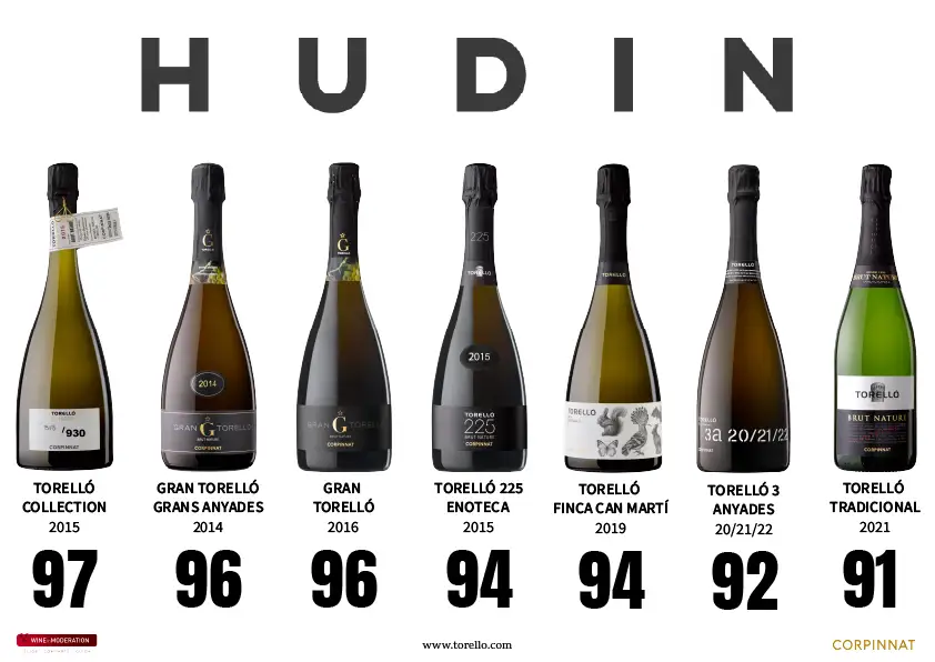Puntuacions Miquel Hudin