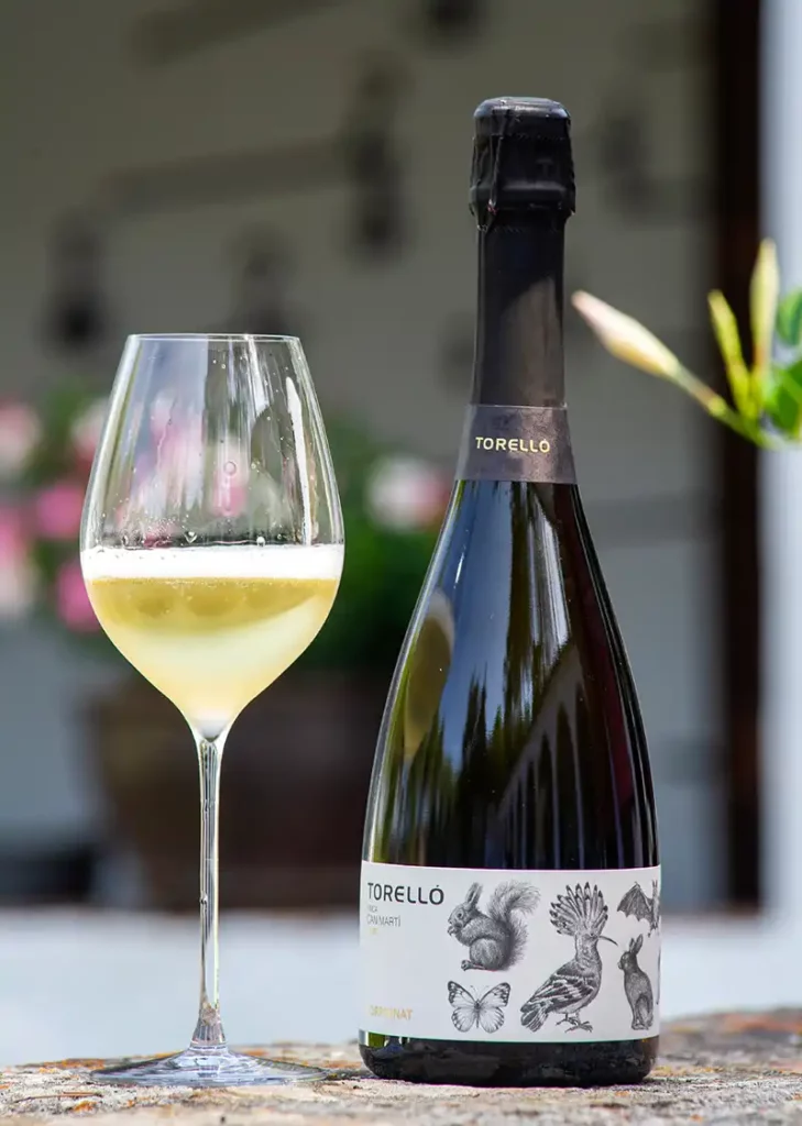 Finca Can Martí Garnacha 2019