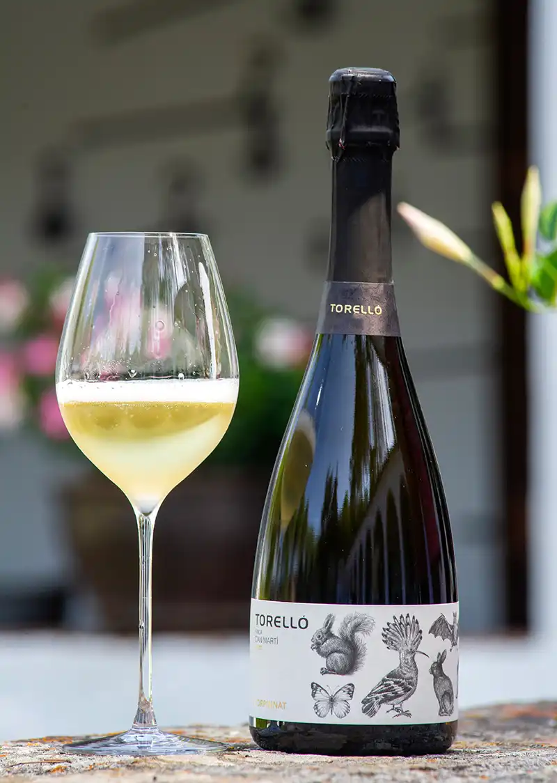 Finca Can Martí Garnatxa 2019